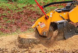 Best Tree and Shrub Care  in Holdrege, NE