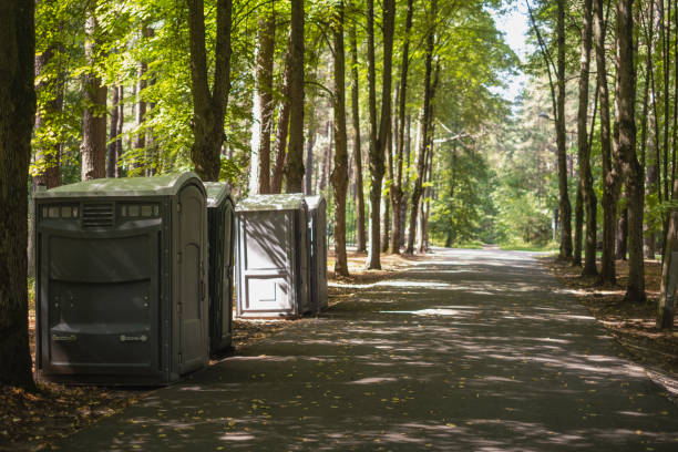 Best Hazardous Tree Removal  in Holdrege, NE